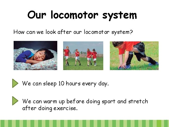 Our locomotor system How can we look after our locomotor system? We can sleep