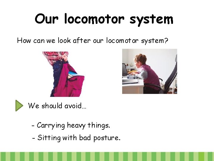 Our locomotor system How can we look after our locomotor system? We should avoid…