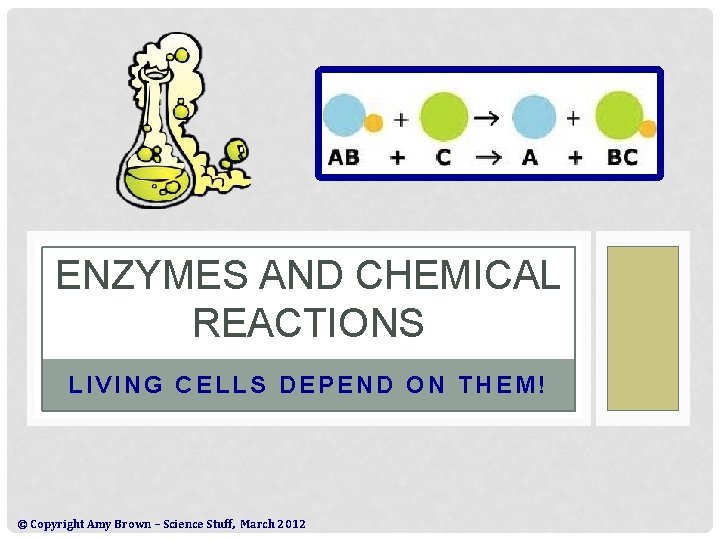 ENZYMES AND CHEMICAL REACTIONS LIVING CELLS DEPEND ON THEM! © Copyright Amy Brown –