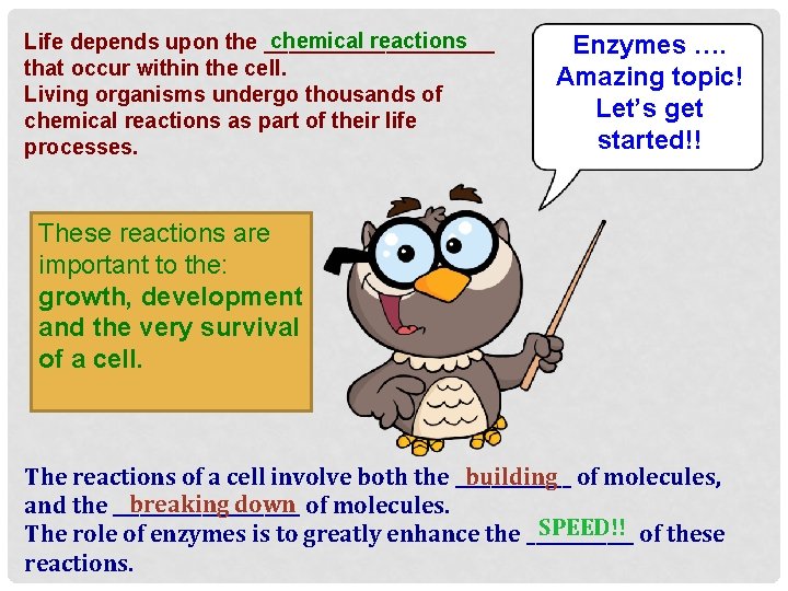 chemical reactions Life depends upon the __________ that occur within the cell. Living organisms