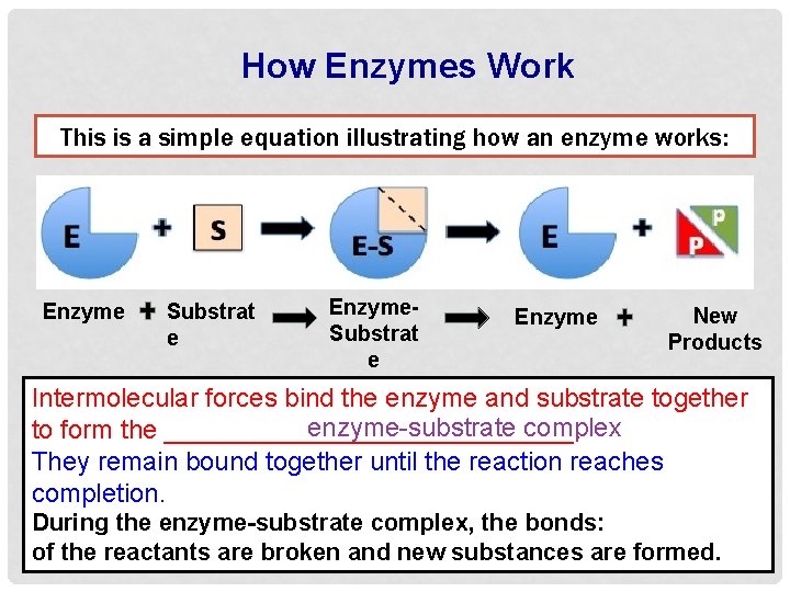 How Enzymes Work This is a simple equation illustrating how an enzyme works: Enzyme