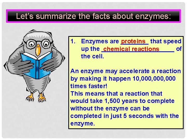 Let’s summarize the facts about enzymes: 1. Enzymes are ____ proteins that speed up