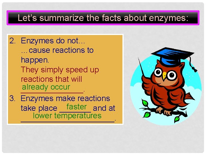 Let’s summarize the facts about enzymes: 2. Enzymes do not… …cause reactions to happen.