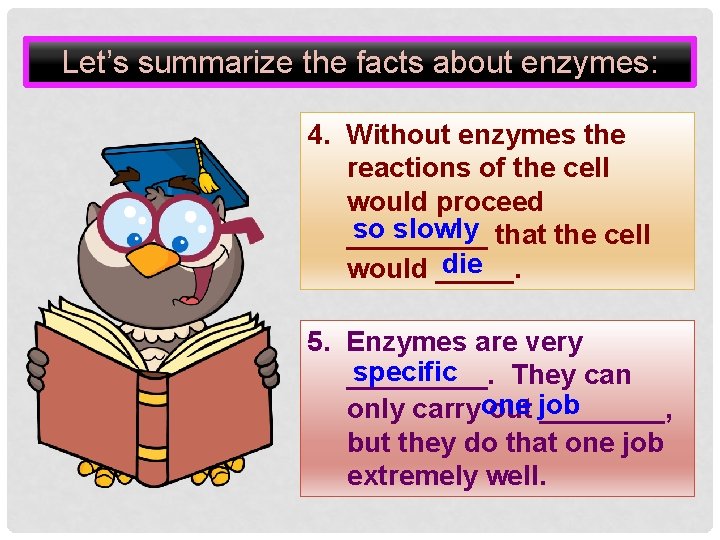 Let’s summarize the facts about enzymes: 4. Without enzymes the reactions of the cell