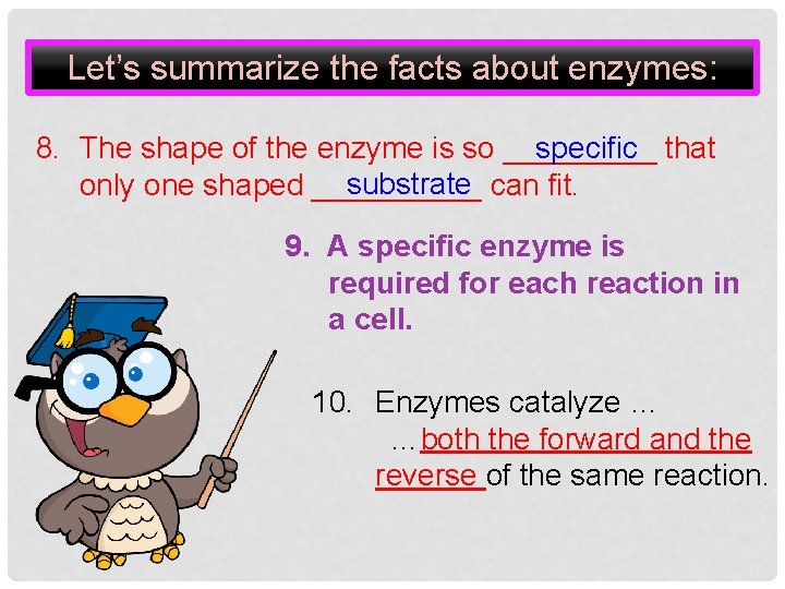 Let’s summarize the facts about enzymes: 8. The shape of the enzyme is so