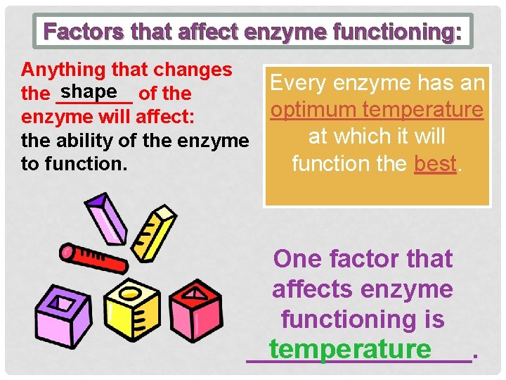 Factors that affect enzyme functioning: Anything that changes shape of the _______ enzyme will