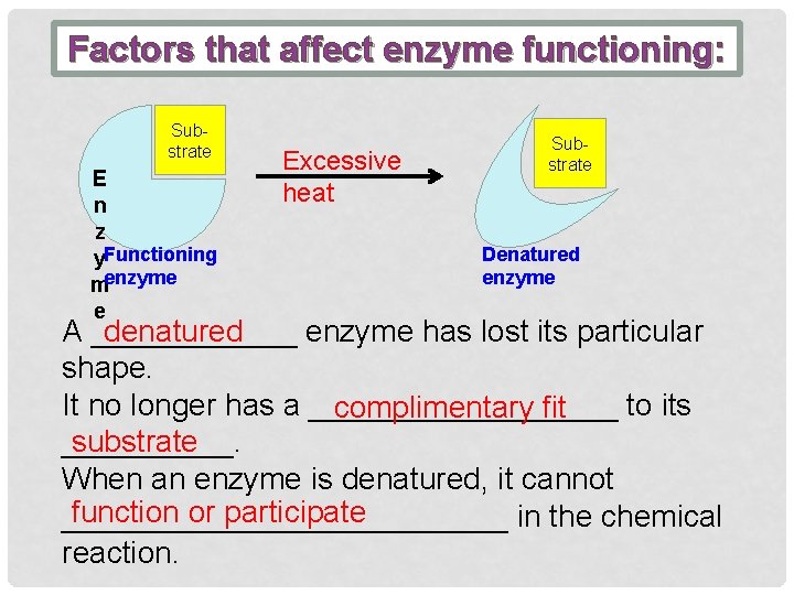 Factors that affect enzyme functioning: Substrate E n z y. Functioning menzyme e Excessive