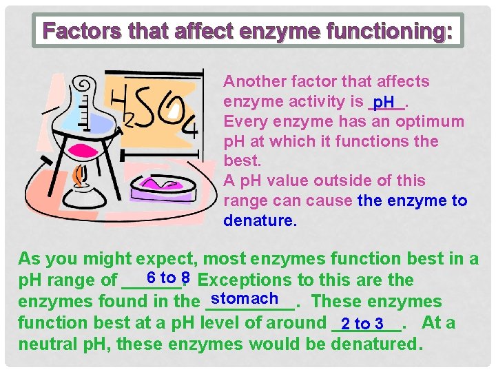 Factors that affect enzyme functioning: Another factor that affects enzyme activity is ____. p.