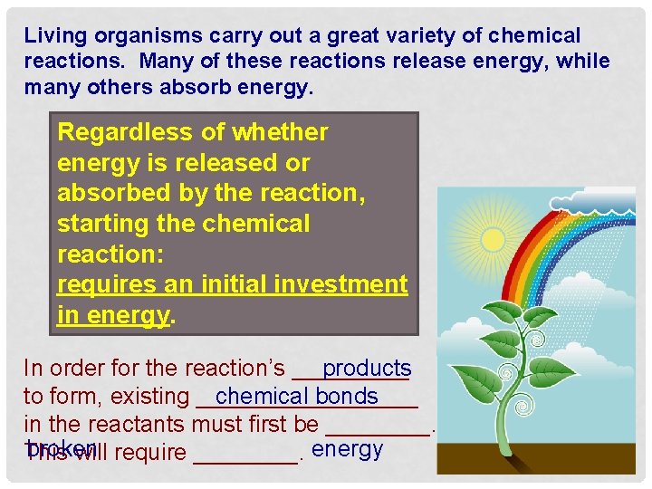 Living organisms carry out a great variety of chemical reactions. Many of these reactions