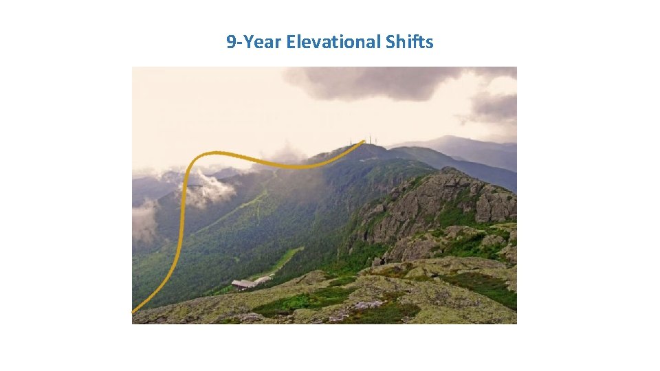 9 -Year Elevational Shifts 9 -Year Elevational Shifts