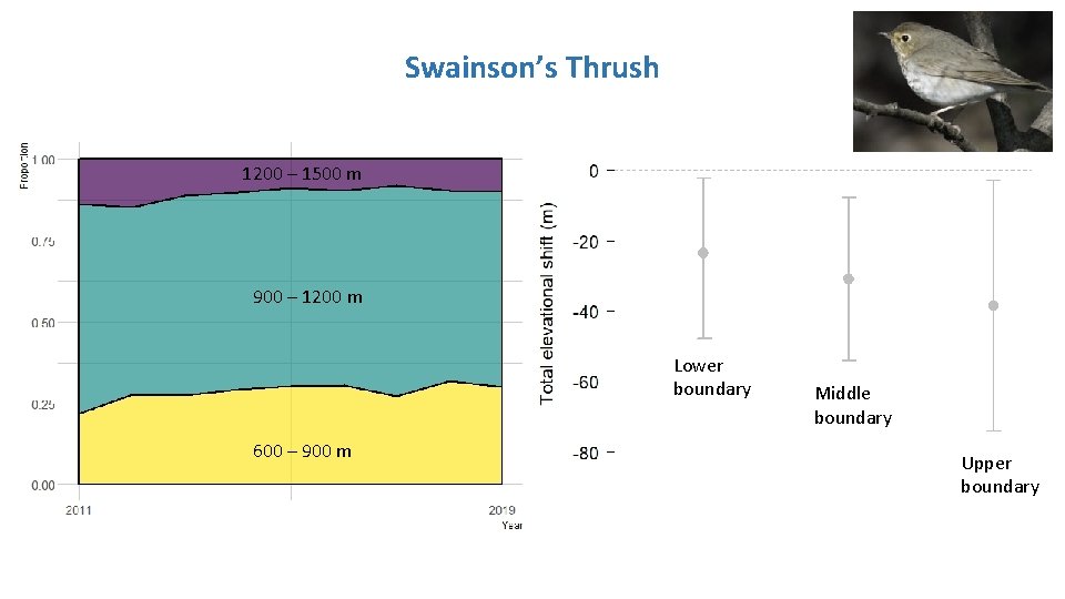 Swainson’s Thrush 1200 – 1500 m 900 – 1200 m Lower boundary 600 – Swainson’s Thrush 1200 – 1500 m 900 – 1200 m Lower boundary 600 –