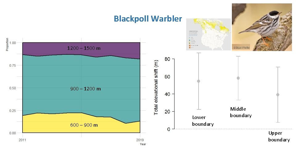Blackpoll Warbler 1200 – 1500 m 900 – 1200 m 600 – 900 m Blackpoll Warbler 1200 – 1500 m 900 – 1200 m 600 – 900 m