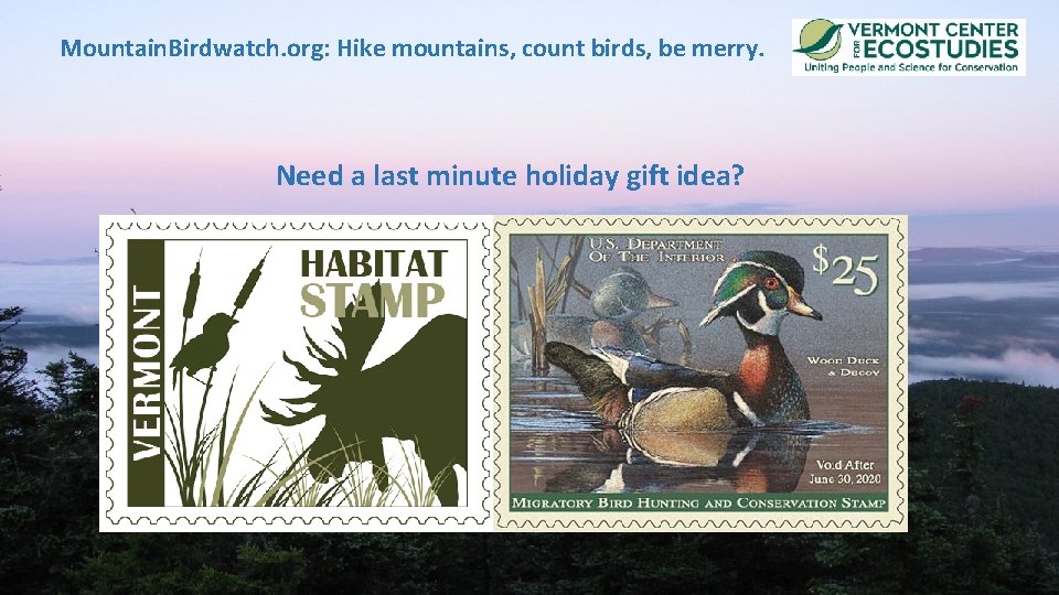 Mountain. Birdwatch. org: Hike mountains, count birds, be merry. Need a last minute holiday Mountain. Birdwatch. org: Hike mountains, count birds, be merry. Need a last minute holiday