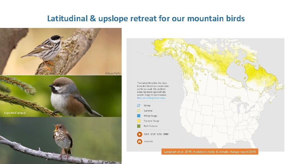 Latitudinal & upslope retreat for our mountain birds Kent Mc. Farland Langham et al. Latitudinal & upslope retreat for our mountain birds Kent Mc. Farland Langham et al.