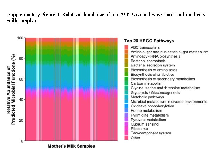 Supplementary Figure 3. Relative abundance of top 20 KEGG pathways across all mother’s milk