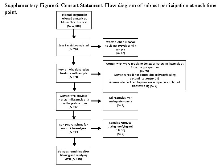Supplementary Figure 6. Consort Statement. Flow diagram of subject participation at each time point.