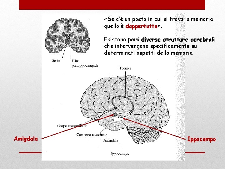  «Se c’è un posto in cui si trova la memoria quello è dappertutto»