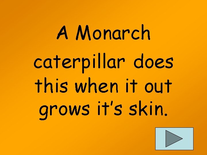 A Monarch caterpillar does this when it out grows it’s skin. 
