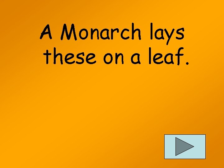 A Monarch lays these on a leaf. 