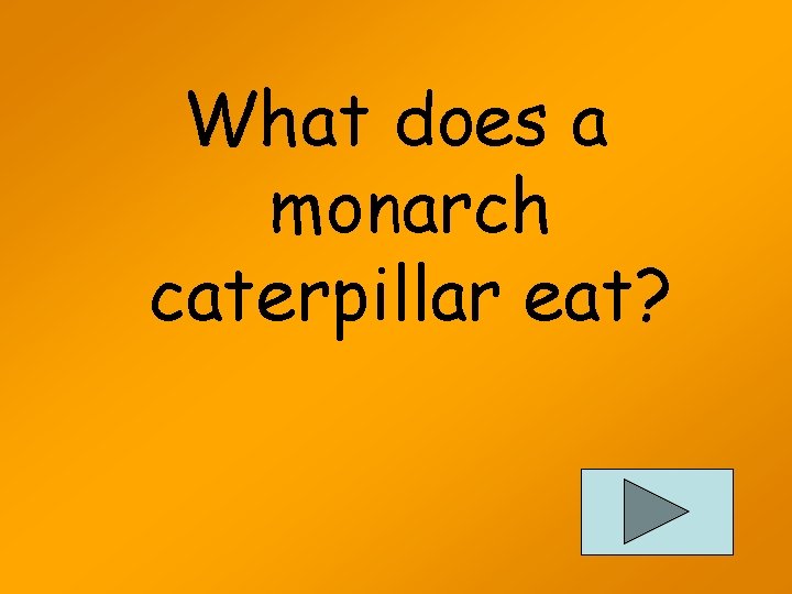 What does a monarch caterpillar eat? 