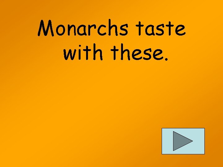 Monarchs taste with these. 