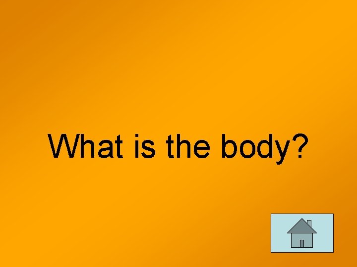 What is the body? 