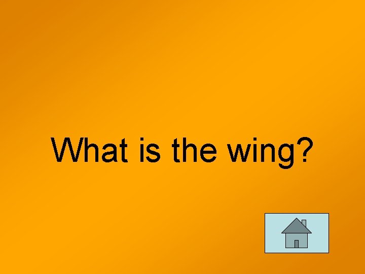 What is the wing? 