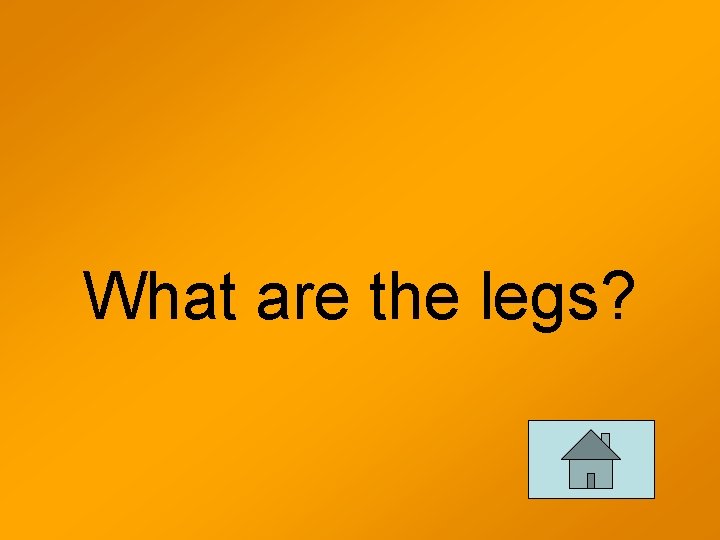 What are the legs? 