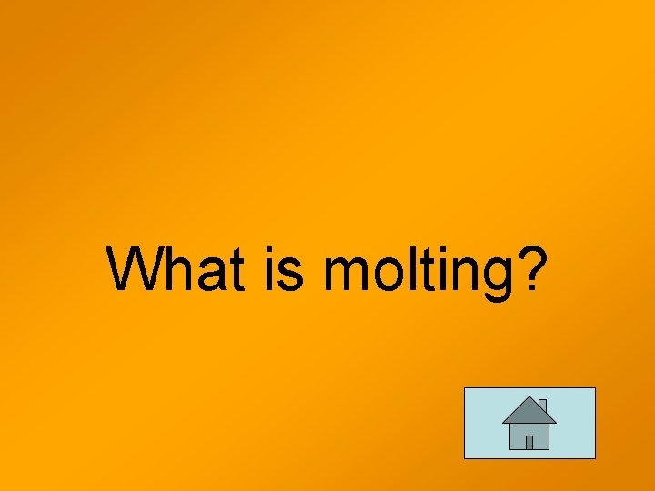 What is molting? 