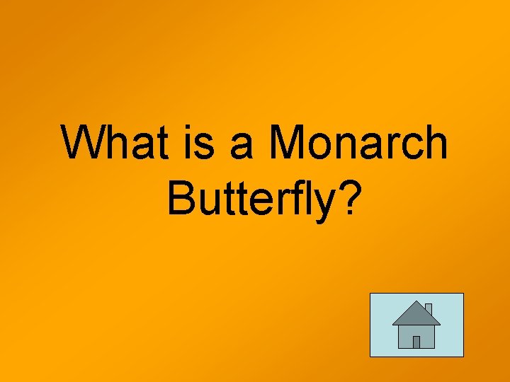 What is a Monarch Butterfly? 