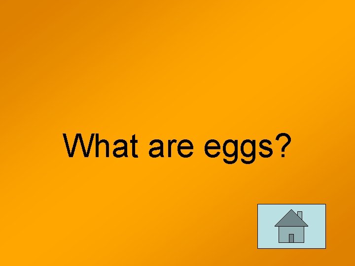 What are eggs? 