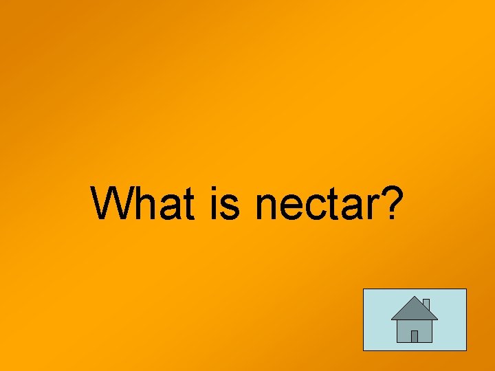 What is nectar? 