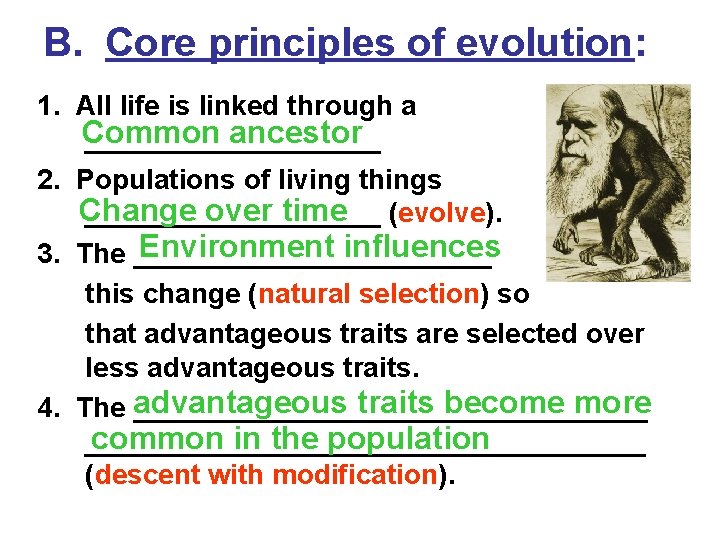 B. Core principles of evolution: 1. All life is linked through a Common ancestor