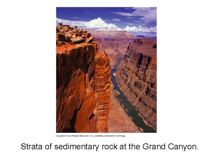 Strata of sedimentary rock at the Grand Canyon. 