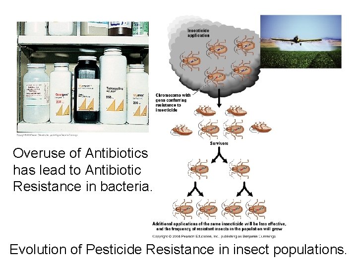 Overuse of Antibiotics has lead to Antibiotic Resistance in bacteria. Evolution of Pesticide Resistance