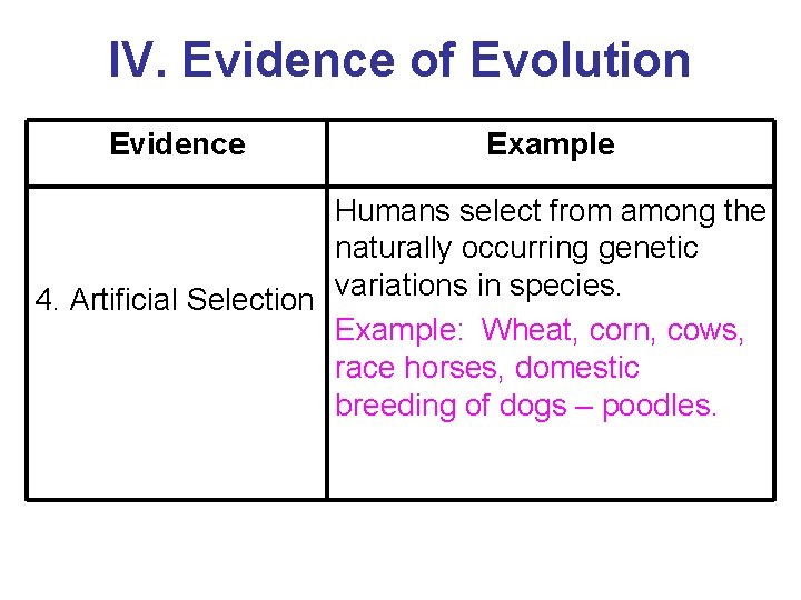 IV. Evidence of Evolution Evidence Example Humans select from among the naturally occurring genetic