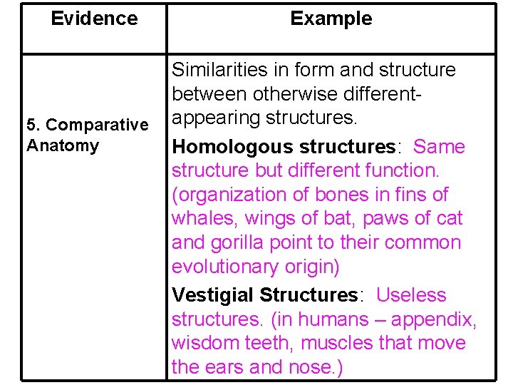 Evidence 5. Comparative Anatomy Example Similarities in form and structure between otherwise differentappearing structures.
