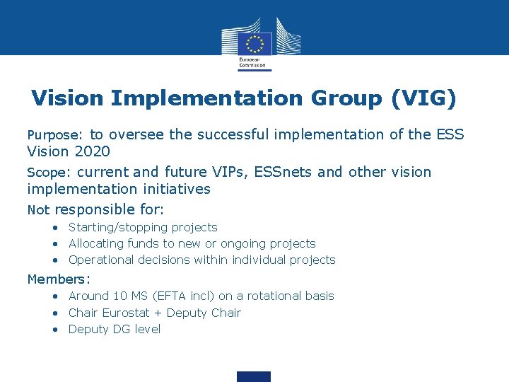 Vision Implementation Group (VIG) Purpose: to oversee the successful implementation of the ESS Vision