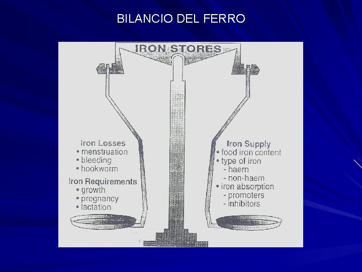 BILANCIO DEL FERRO 