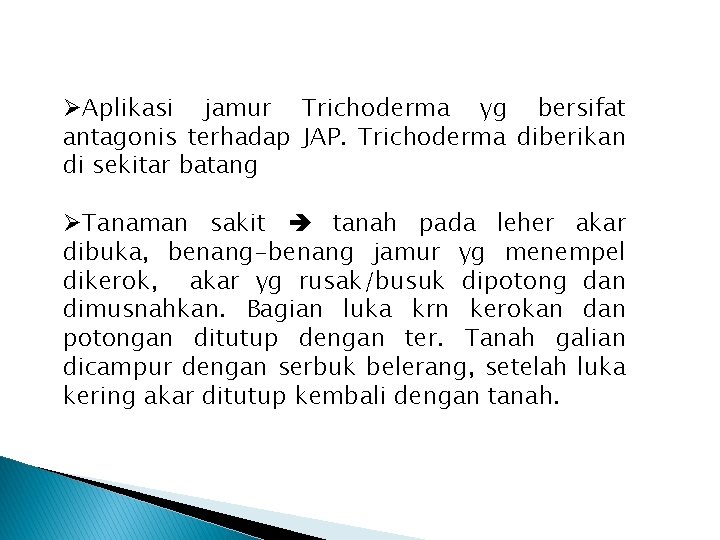 ØAplikasi jamur Trichoderma yg bersifat antagonis terhadap JAP. Trichoderma diberikan di sekitar batang ØTanaman ØAplikasi jamur Trichoderma yg bersifat antagonis terhadap JAP. Trichoderma diberikan di sekitar batang ØTanaman