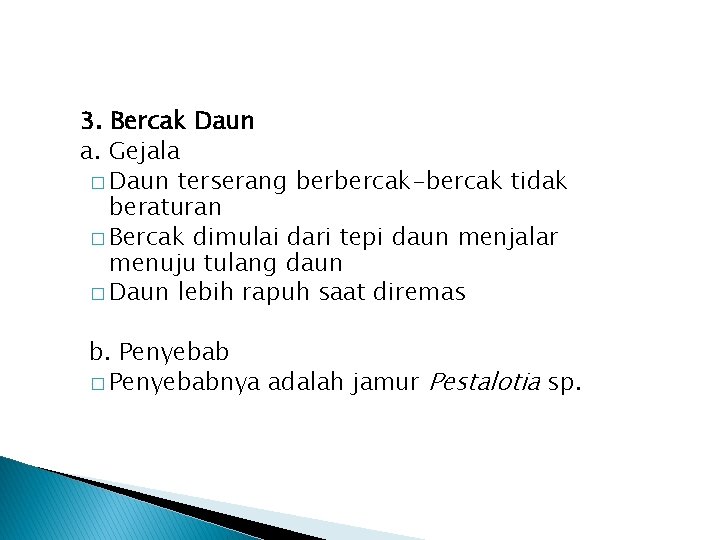 3. Bercak Daun a. Gejala � Daun terserang berbercak-bercak tidak beraturan � Bercak dimulai 3. Bercak Daun a. Gejala � Daun terserang berbercak-bercak tidak beraturan � Bercak dimulai