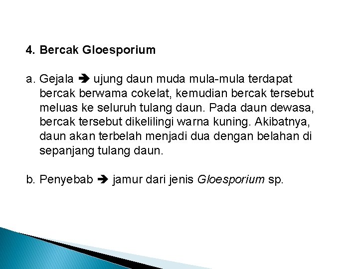 4. Bercak Gloesporium a. Gejala ujung daun muda mula-mula terdapat bercak berwama cokelat, kemudian 4. Bercak Gloesporium a. Gejala ujung daun muda mula-mula terdapat bercak berwama cokelat, kemudian