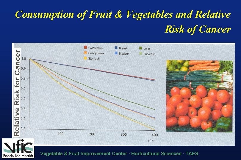 Consumption of Fruit & Vegetables and Relative Risk of Cancer Vegetable & Fruit Improvement