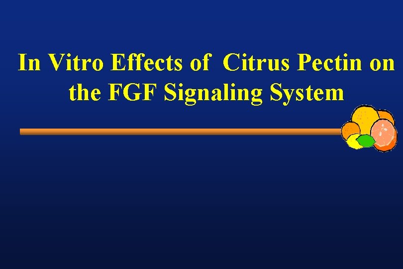 In Vitro Effects of Citrus Pectin on the FGF Signaling System 