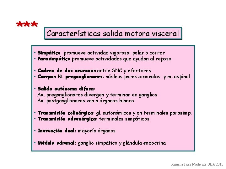 *** Características salida motora visceral • Simpático promueve actividad vigorosa: pelar o correr •