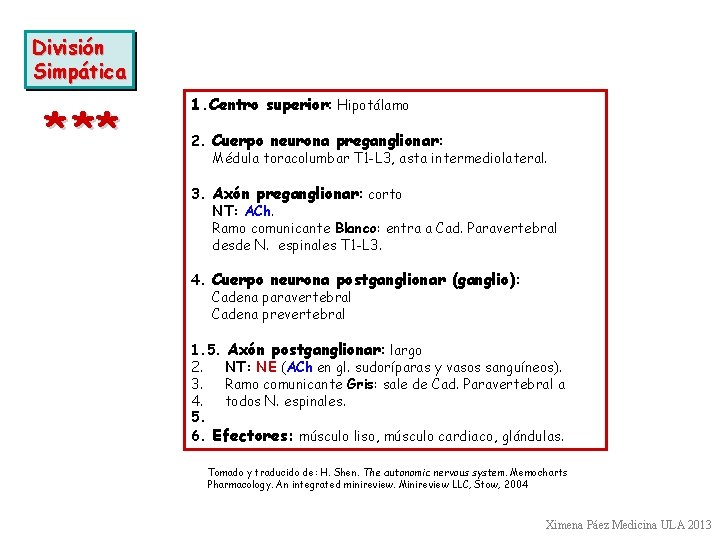 División Simpática * ** 1. Centro superior: Hipotálamo 2. Cuerpo neurona preganglionar: Médula toracolumbar División Simpática * ** 1. Centro superior: Hipotálamo 2. Cuerpo neurona preganglionar: Médula toracolumbar