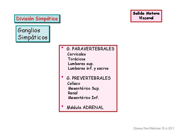Salida Motora Visceral División Simpática Ganglios Simpáticos • G. PARAVERTEBRALES • G. PREVERTEBRALES •