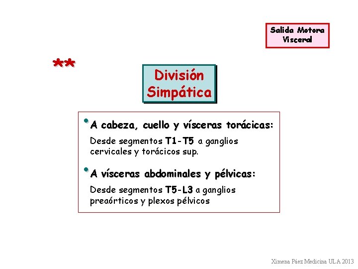 Salida Motora Visceral ** División Simpática • A cabeza, cuello y vísceras torácicas: Desde