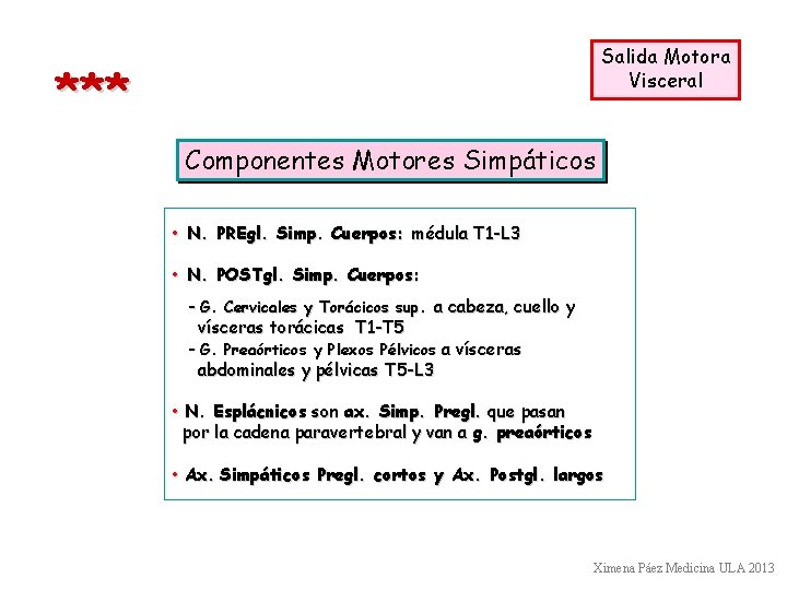 Salida Motora Visceral *** Componentes Motores Simpáticos • N. PREgl. Simp. Cuerpos: médula T Salida Motora Visceral *** Componentes Motores Simpáticos • N. PREgl. Simp. Cuerpos: médula T