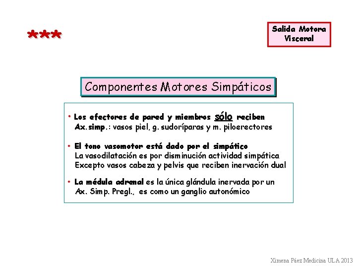 *** Salida Motora Visceral Componentes Motores Simpáticos • Los efectores de pared y miembros